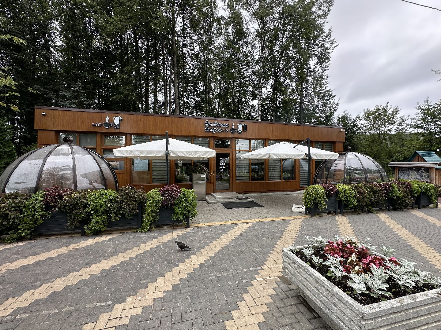 парк Фабричный, городской округ Истра, буккроссинг,