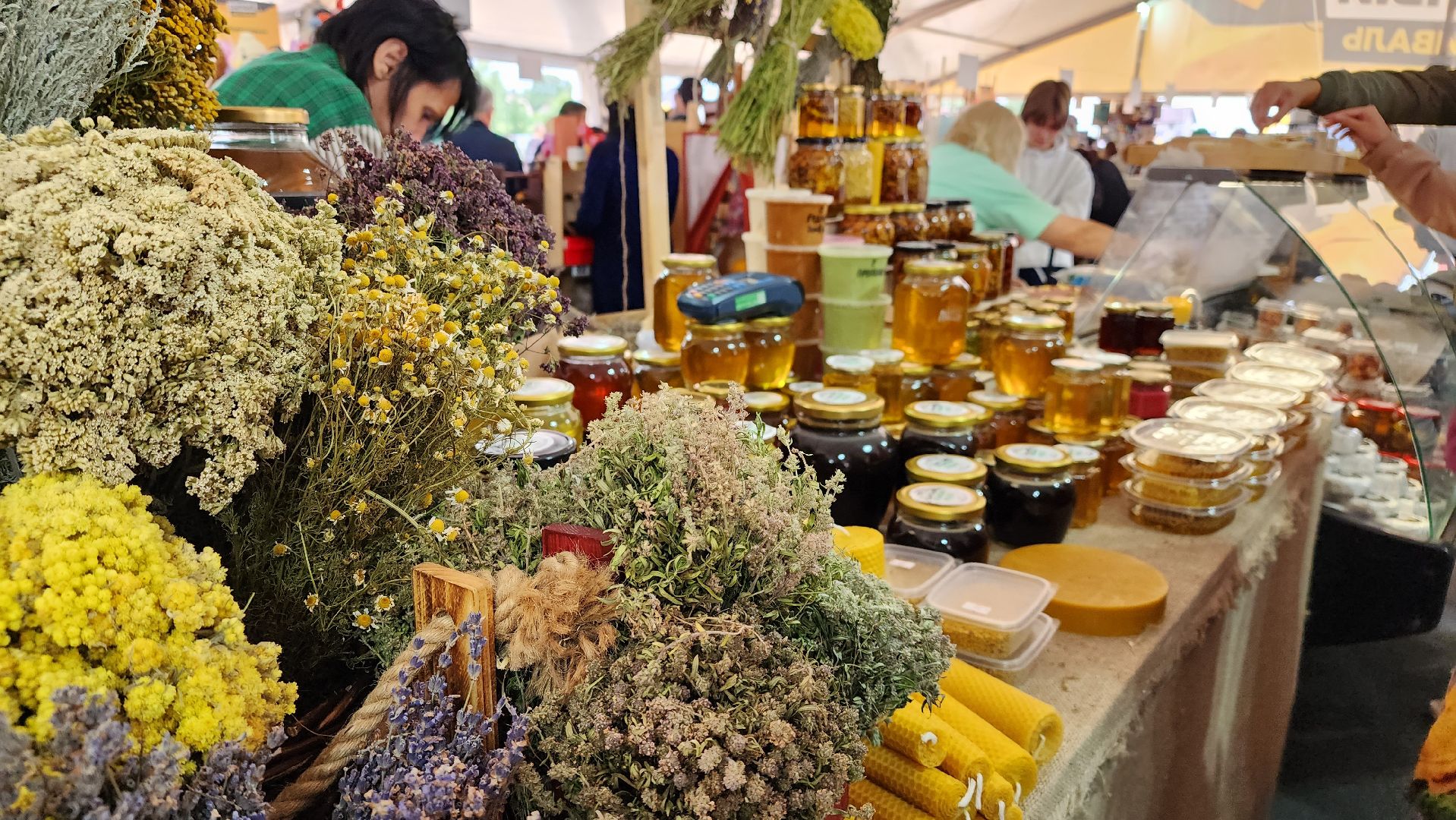 Предприниматели, Сыроварня, Фермеры, Губернатор,