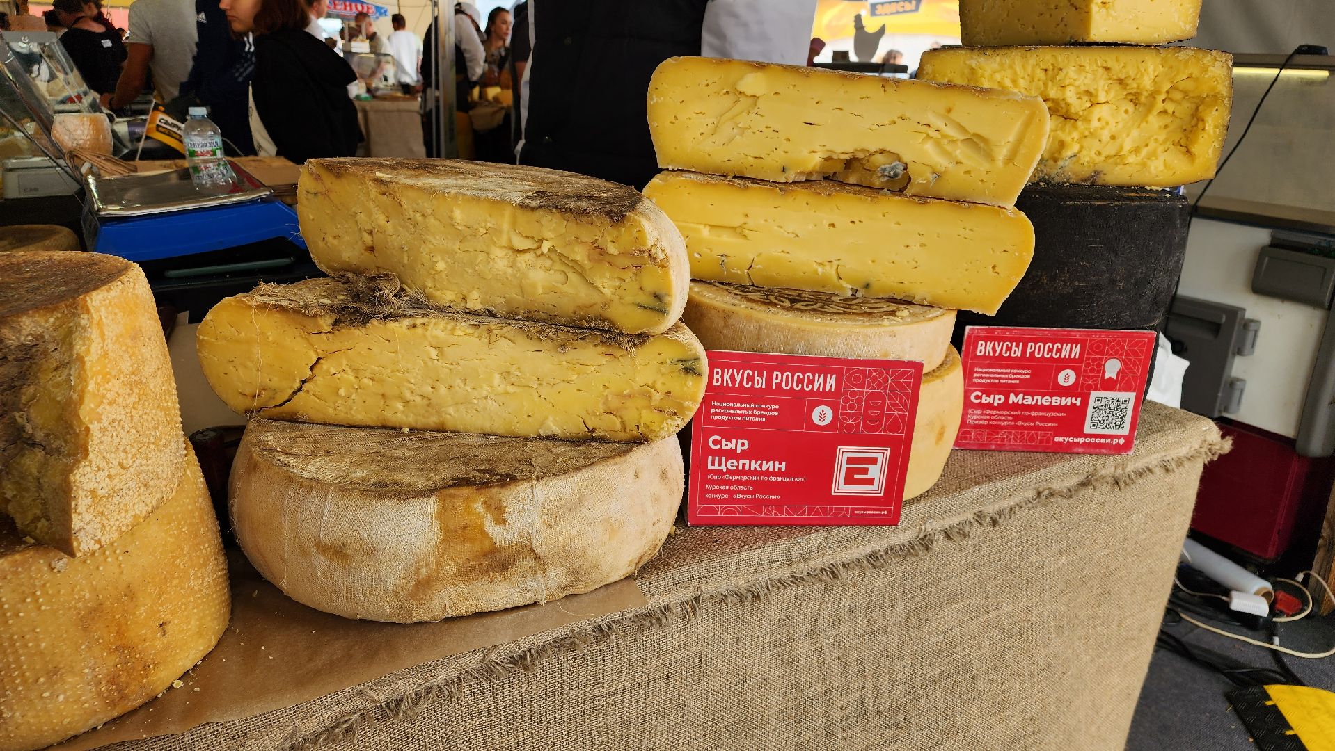 Предприниматели, Сыроварня, Фермеры, Губернатор,