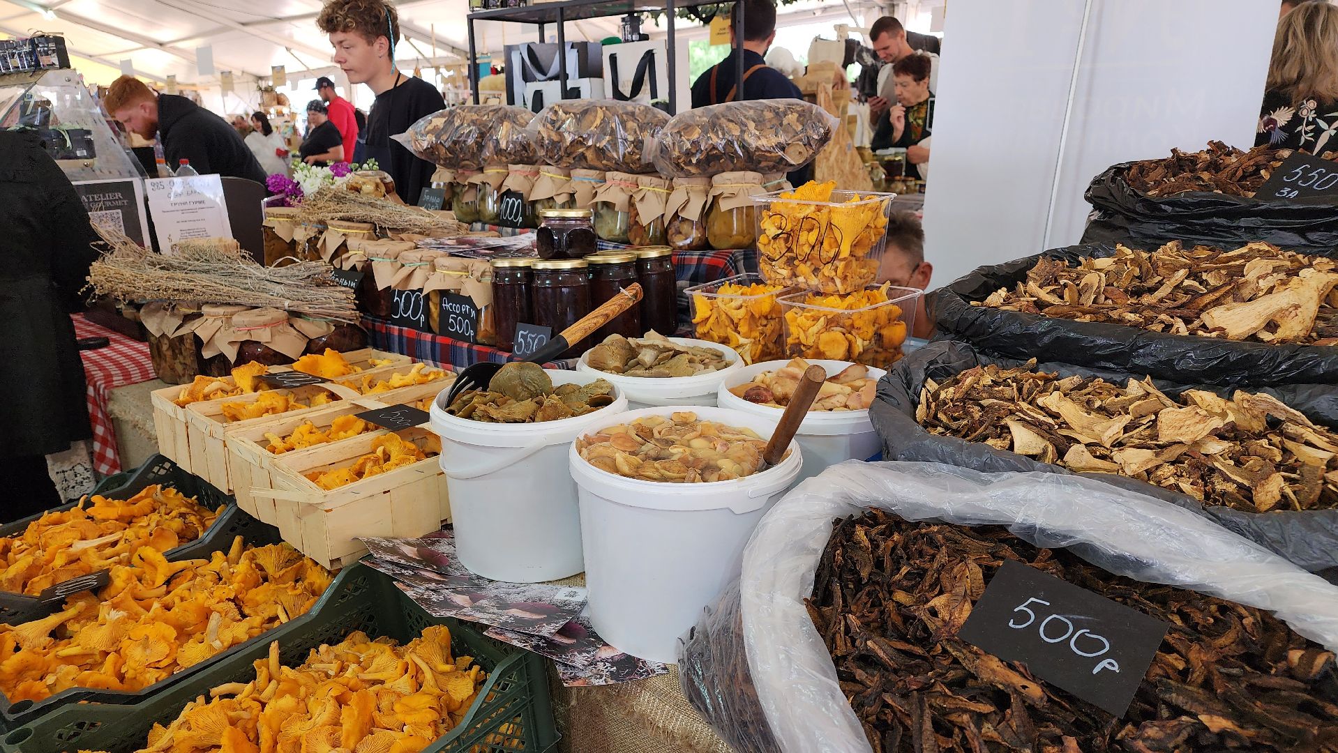 Предприниматели, Сыроварня, Фермеры, Губернатор,