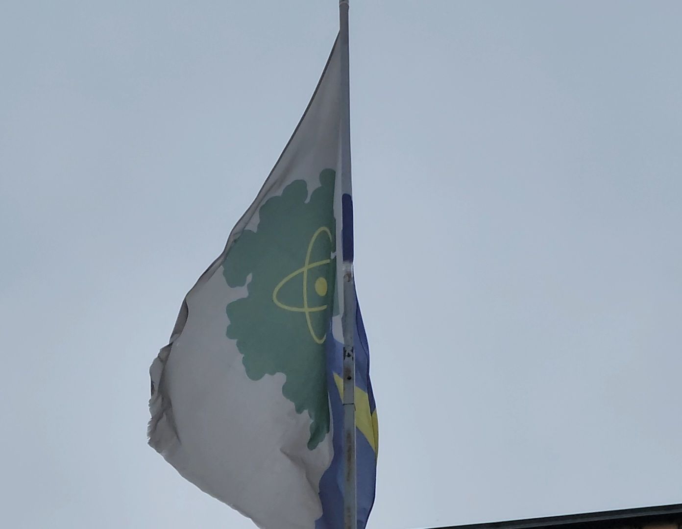 Дубна, территориальная избирательная комиссия, Выборы, Местные выборы, Депутаты, Совет депутатов,