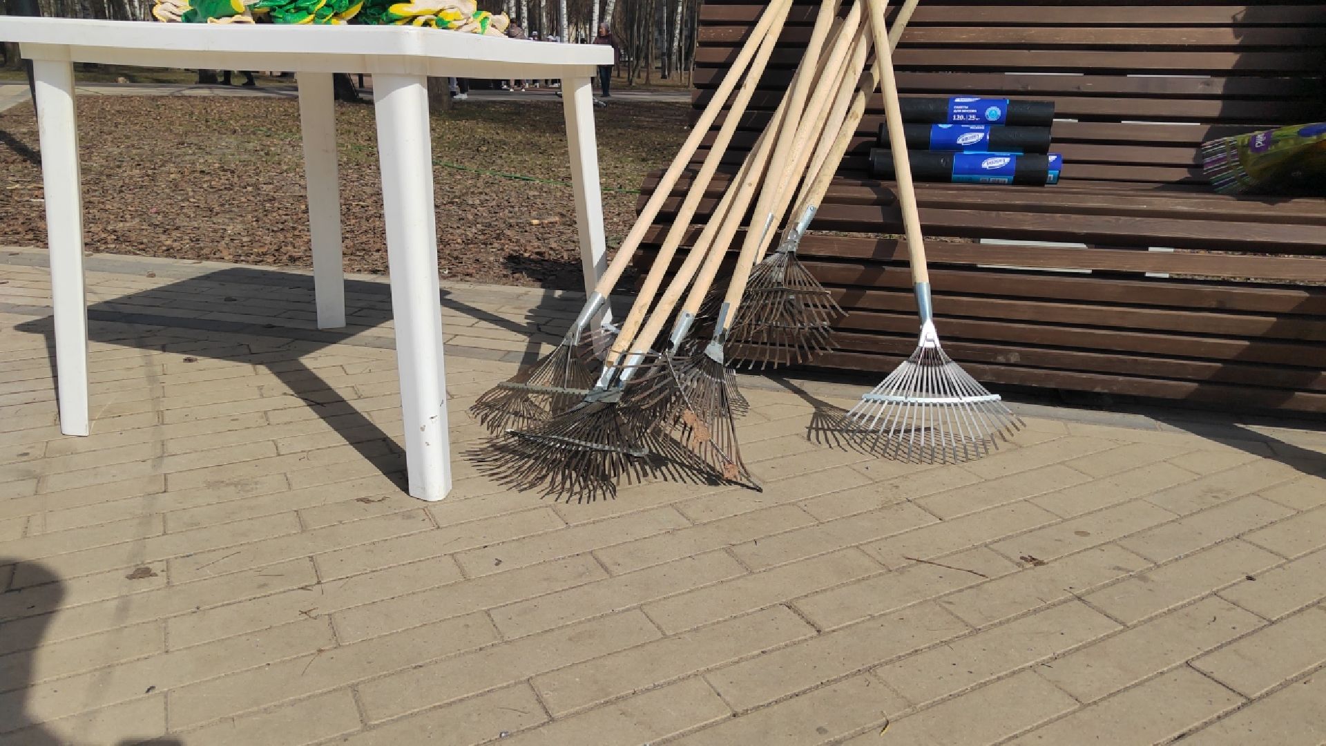 Пушкино, Пушкинский округ, весна в Подмосковье, субботник, чистый двор, благоустройство, МГЕР, Единая Россия, Молодая гвардия