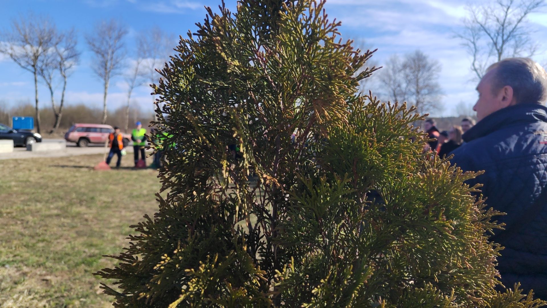 Пушкино, Пушкинский округ, благоустройство, чистый двор, весна в Подмосковье,