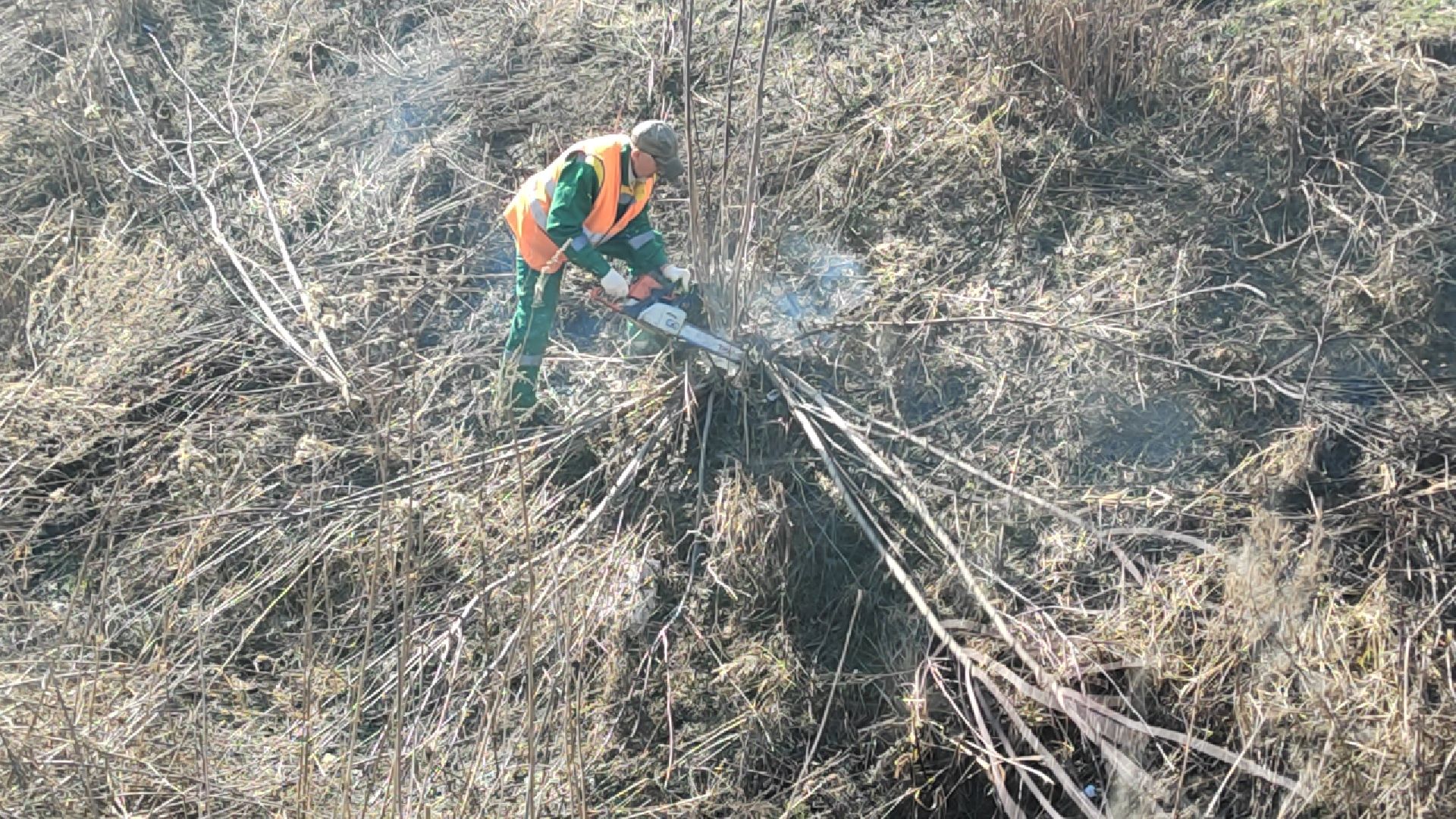 Пушкино, Пушкинский округ, благоустройство, чистый двор, весна в Подмосковье,