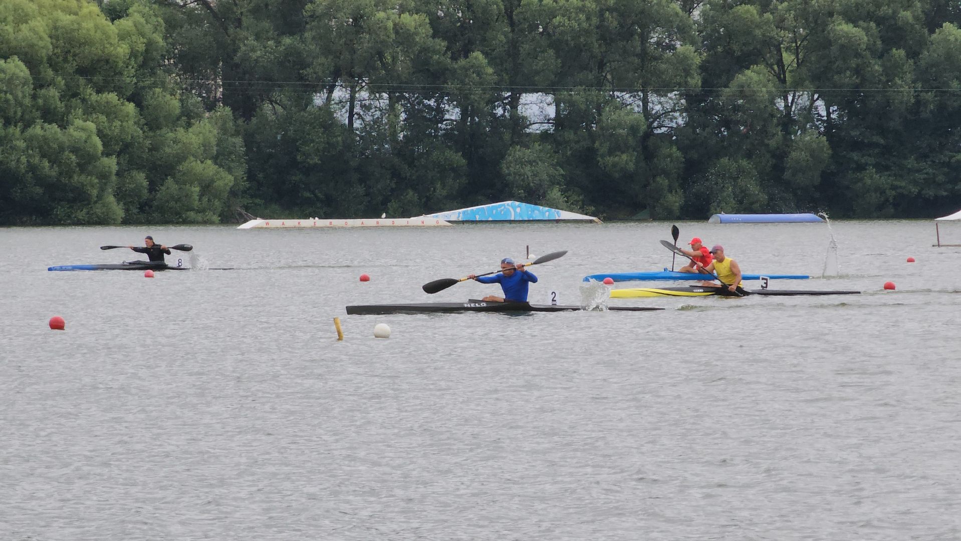 Чемпионат Мастерс, Чемпионат по гребле на байдарках и каноэ, гребля на байдарках и каноэ, Старая Купавна, Богородский городской округ,