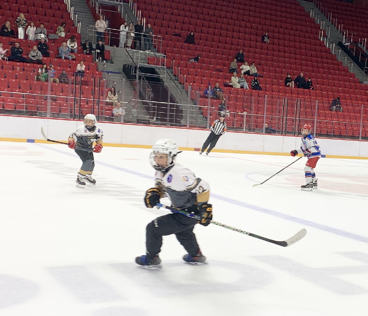 Балашиха, Подмосковье, кубок овечкина, хоккей, хоккеисты, хоккейный турнир,