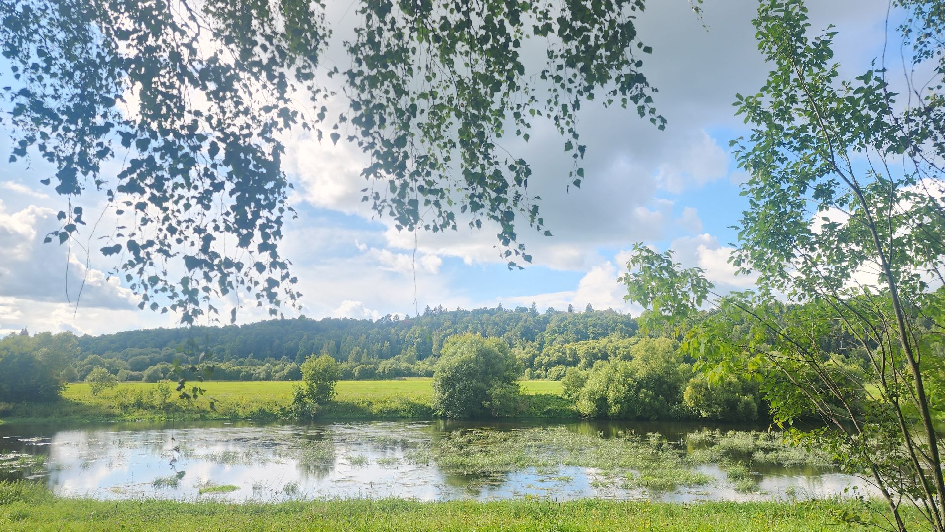 Звенигород, Общество, фотоконкурс,