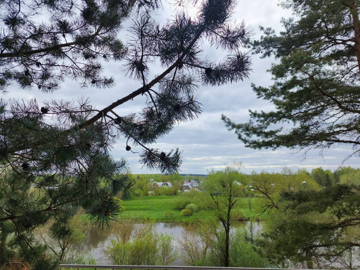 Звенигород, Общество, фотоконкурс,