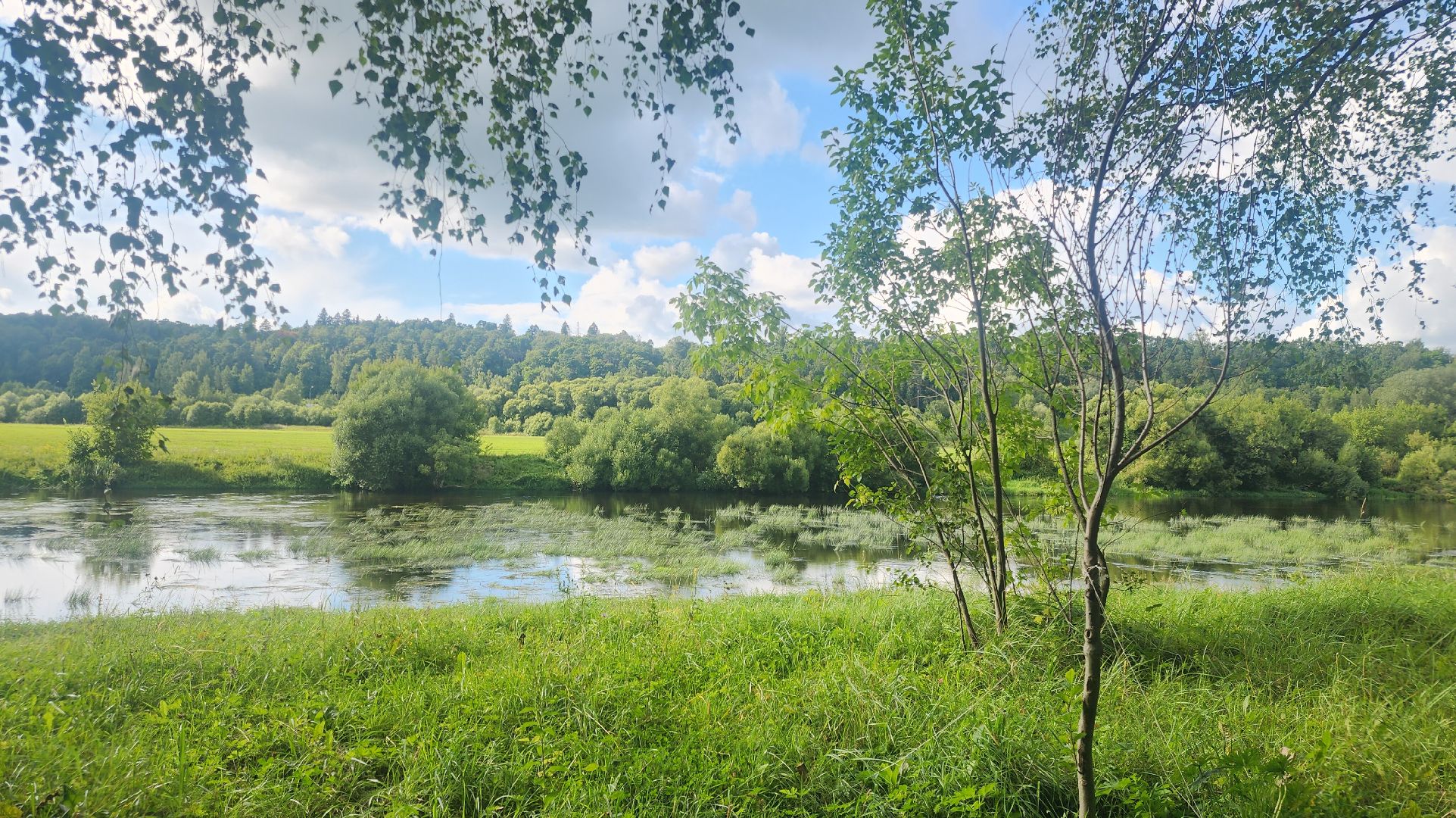 Звенигород, Общество, фотоконкурс,