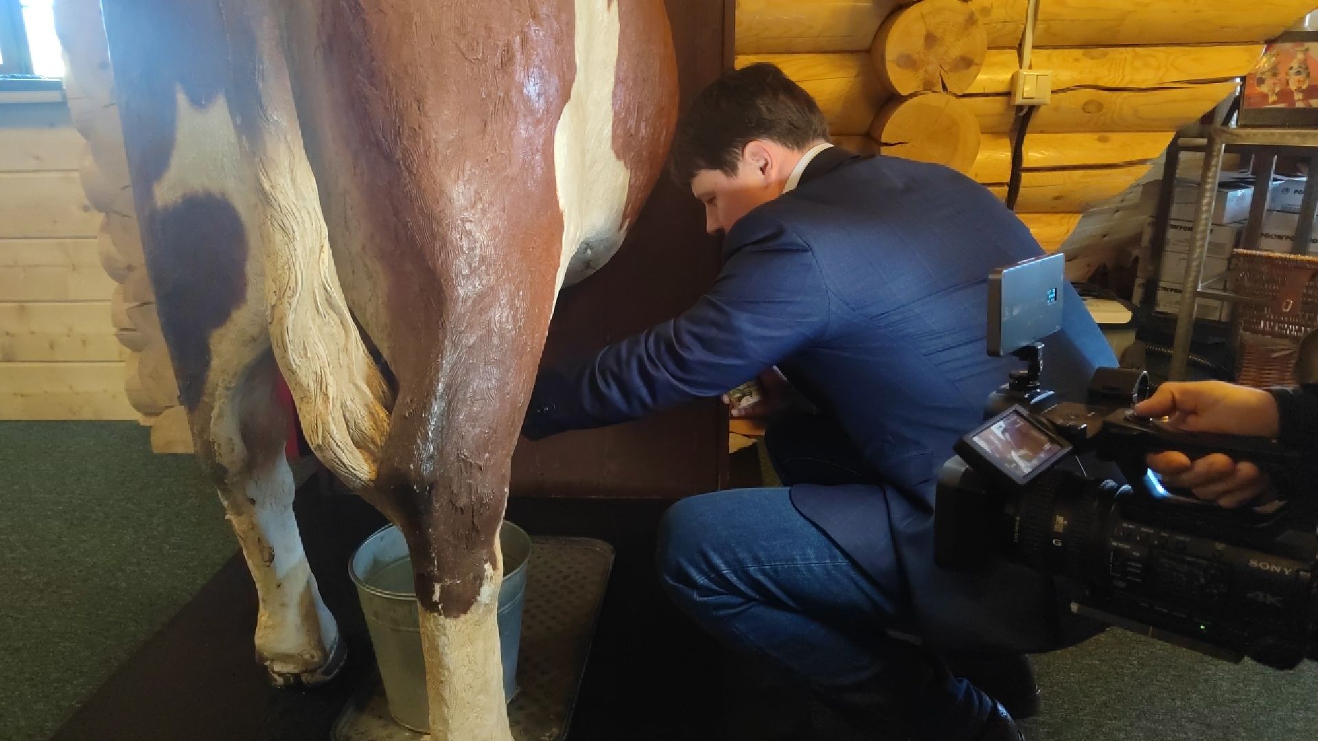 Пушкино, Пушкинский округ, бизнес, экономика, сельское хозяйство