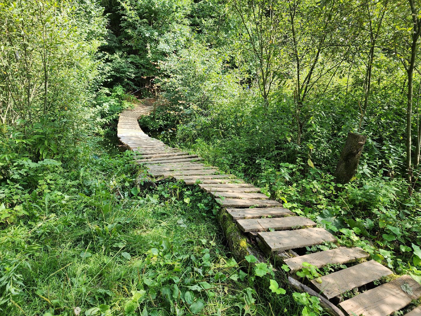 городской округ пушкинский, царево, велогонка, велотрасса,