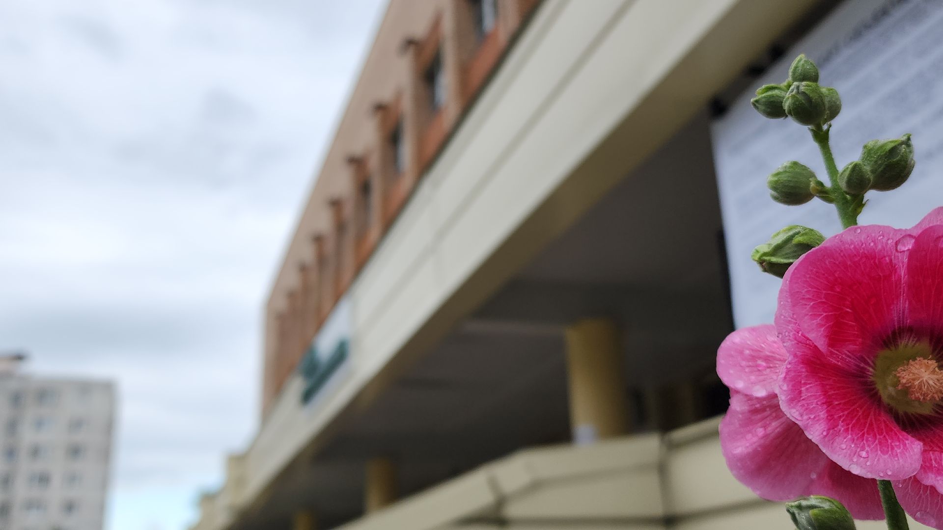 медицина, медицина подмосковья, эцгб, детская поликлиника, ремонт поликлиники, электросталь, мой город, жители города, дети, здоровье, здоровье подмосковью,