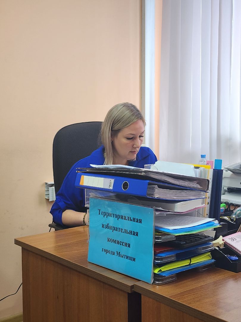 местные выборы, территориальная избирательная комиссия, мытищи, выборы,