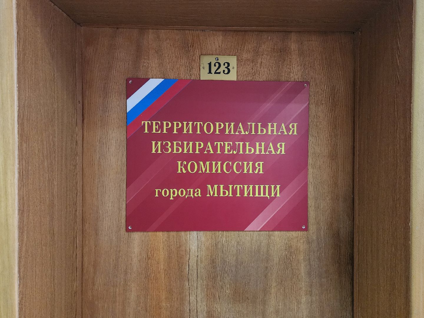 местные выборы, территориальная избирательная комиссия, мытищи, выборы,