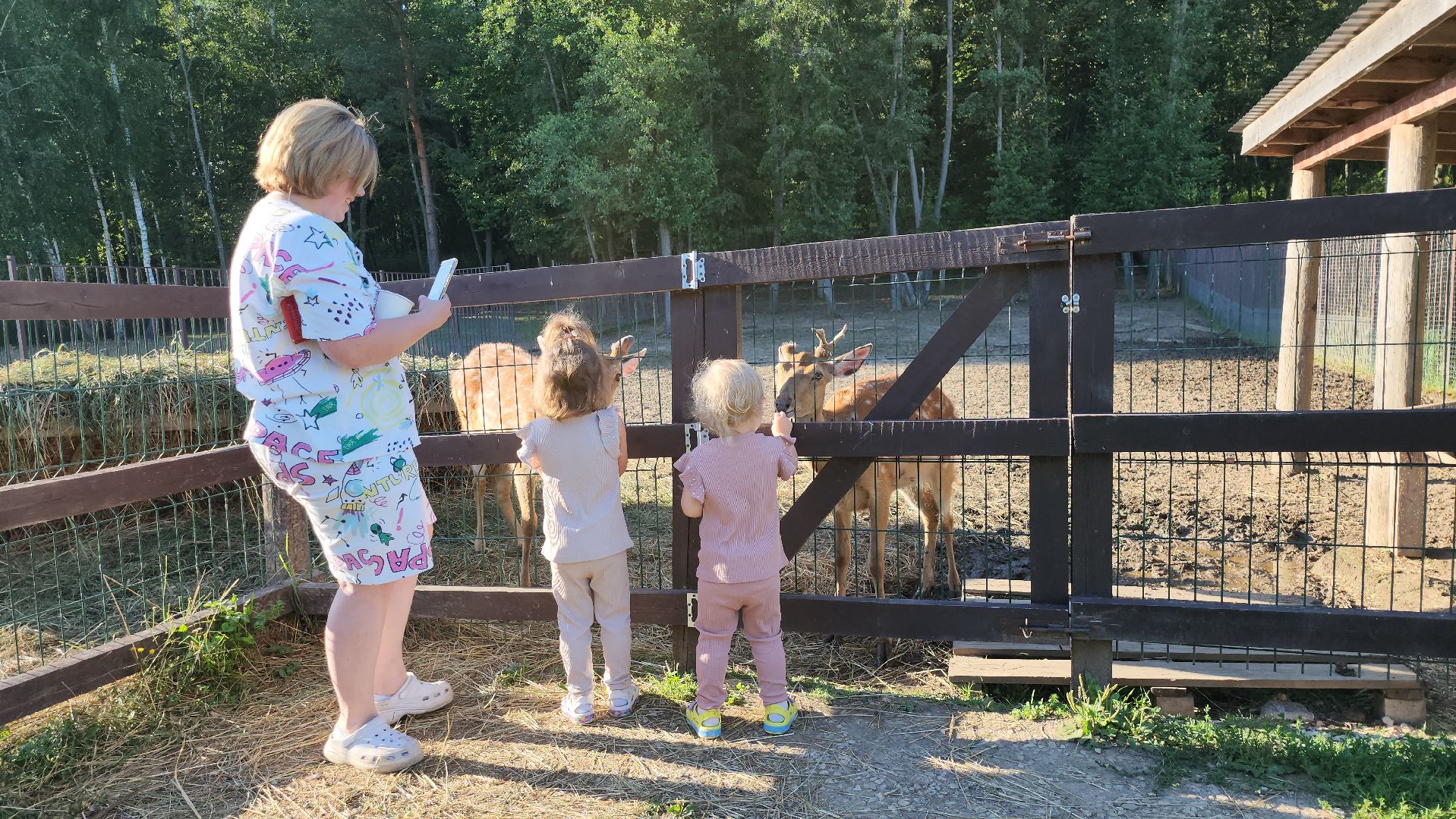 серпухов, подмосковье, бунин ручей, экоферма, пятнистые олени в подмосковье,