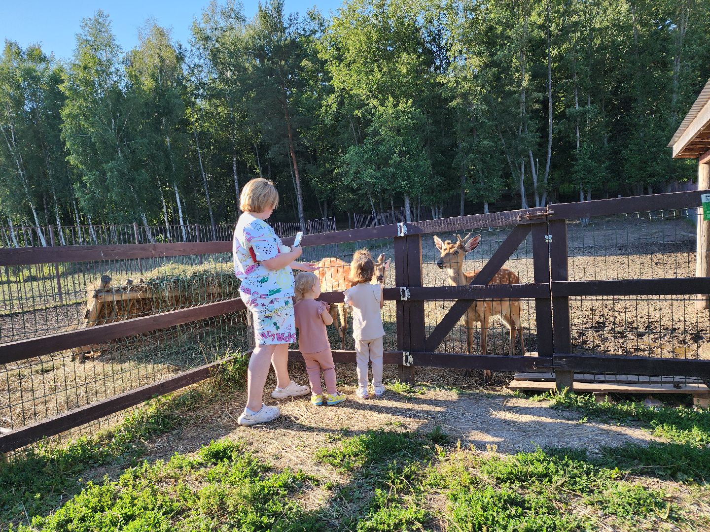 серпухов, подмосковье, бунин ручей, экоферма, пятнистые олени в подмосковье,