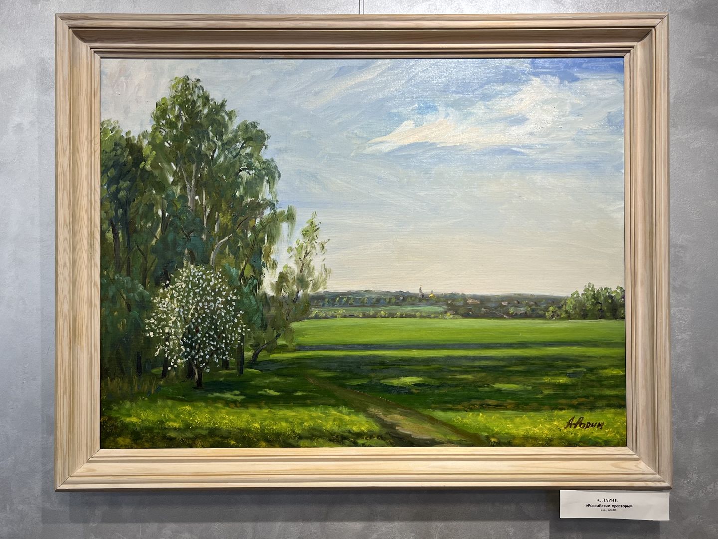 наро-фоминск, культура подмосковья, живопись, выставочный зал, цдк звезда,