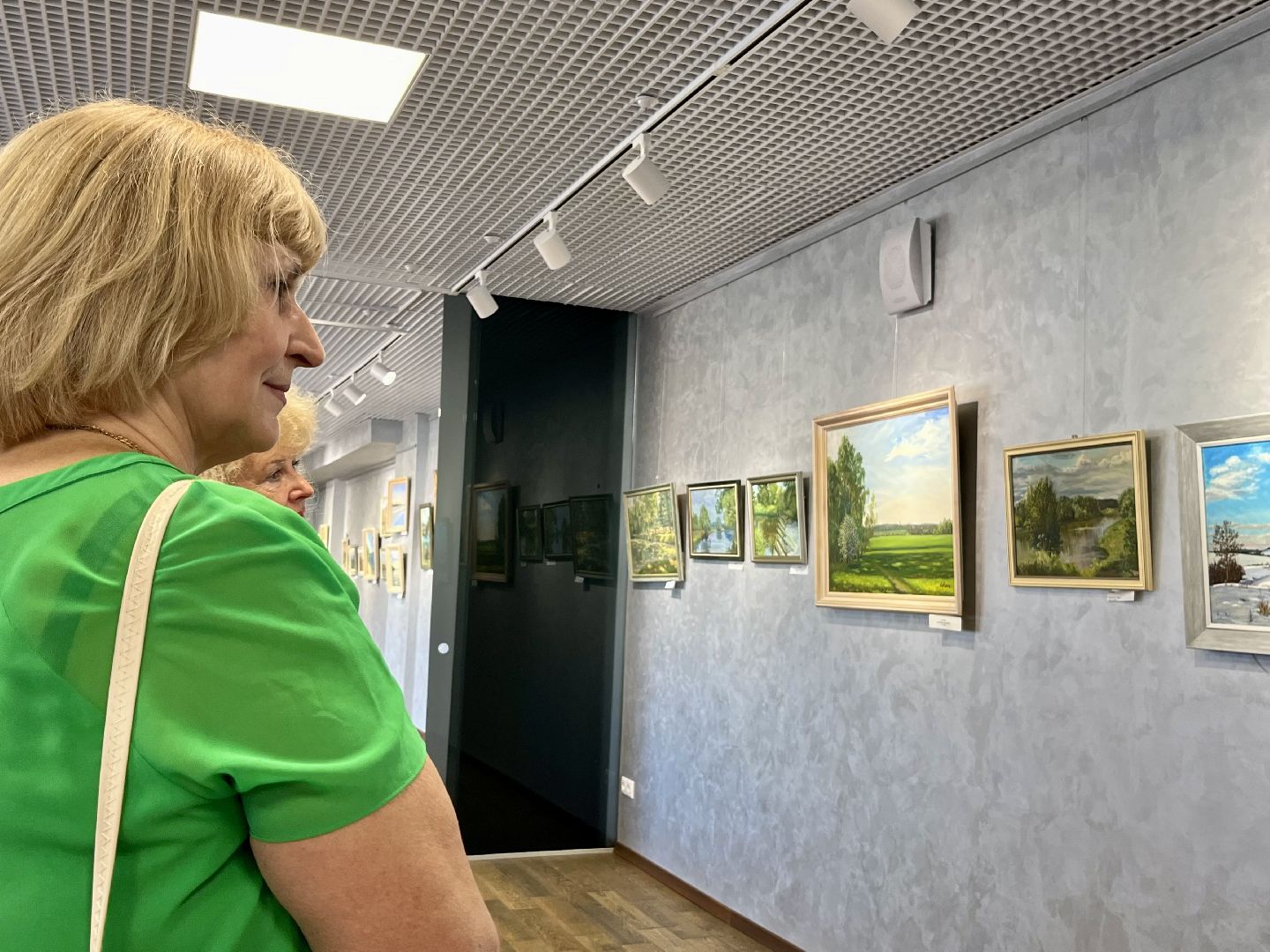 наро-фоминск, культура подмосковья, живопись, выставочный зал, цдк звезда,