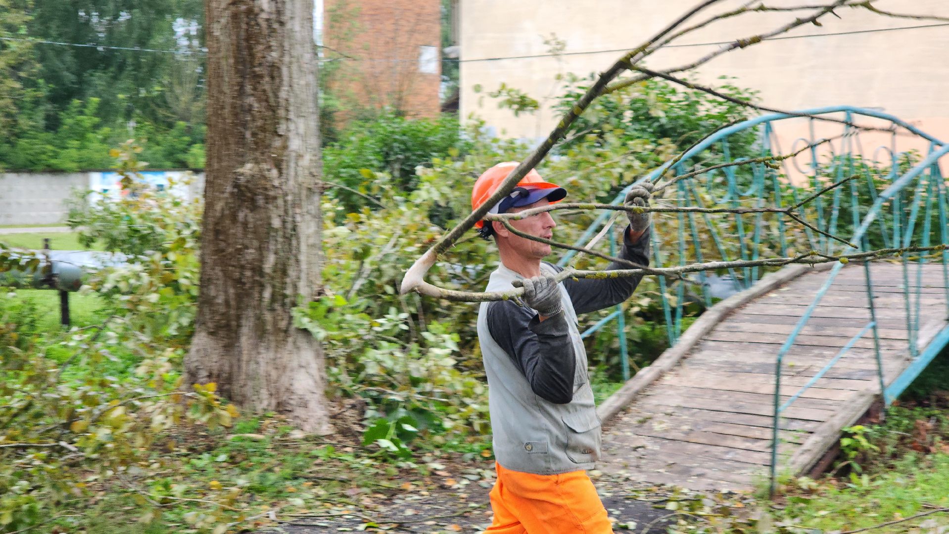 благоустройство, работа, служба дорожного хозяйства и благоустройства, Шатура, Большая Шатура,