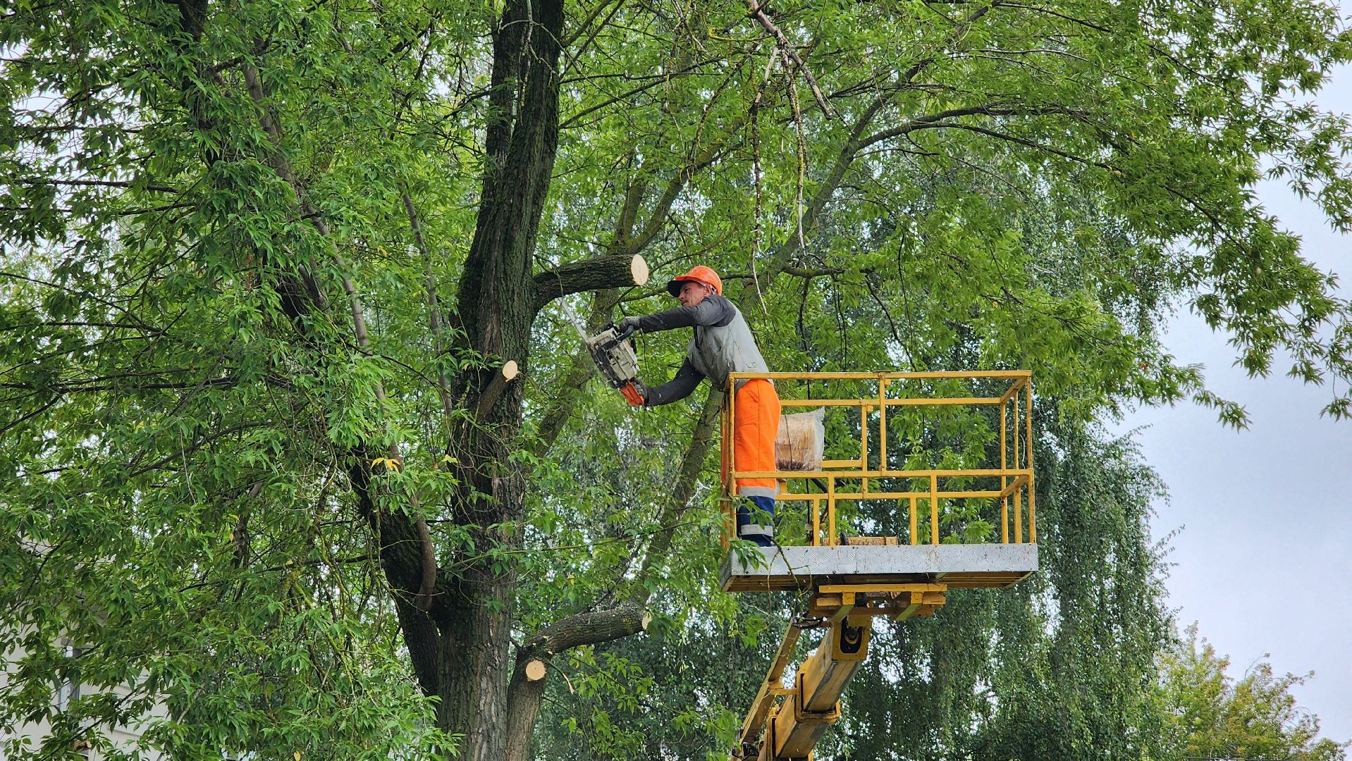 благоустройство, работа, служба дорожного хозяйства и благоустройства, Шатура, Большая Шатура,