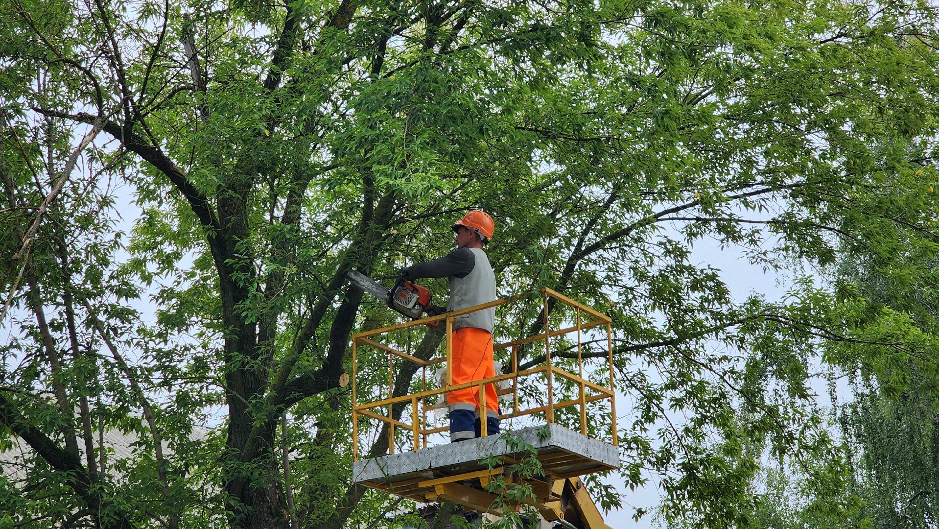 благоустройство, работа, служба дорожного хозяйства и благоустройства, Шатура, Большая Шатура,