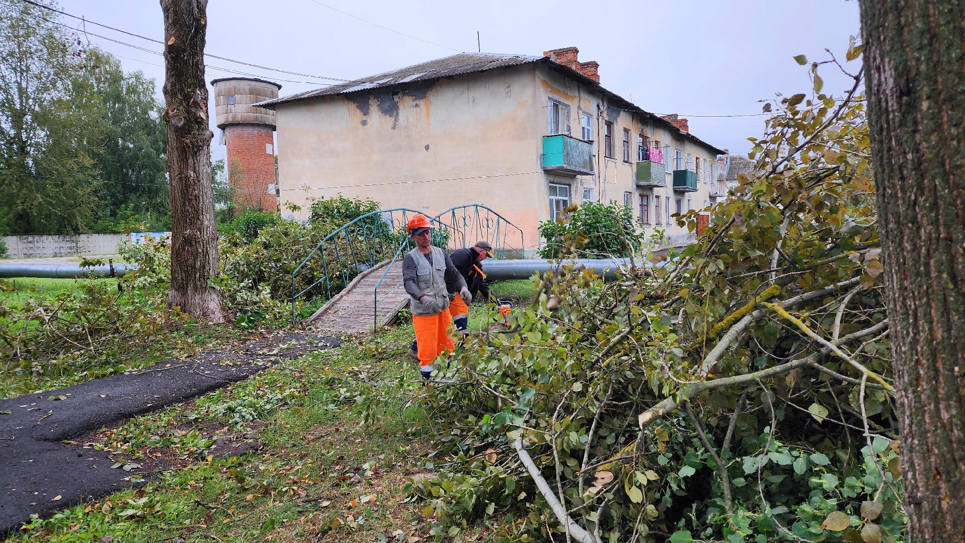 благоустройство, работа, служба дорожного хозяйства и благоустройства, Шатура, Большая Шатура,