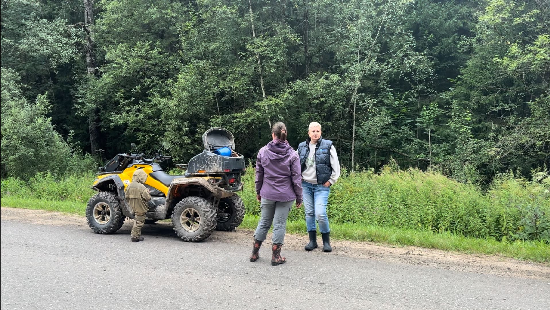 Истра, грибы в лесу,