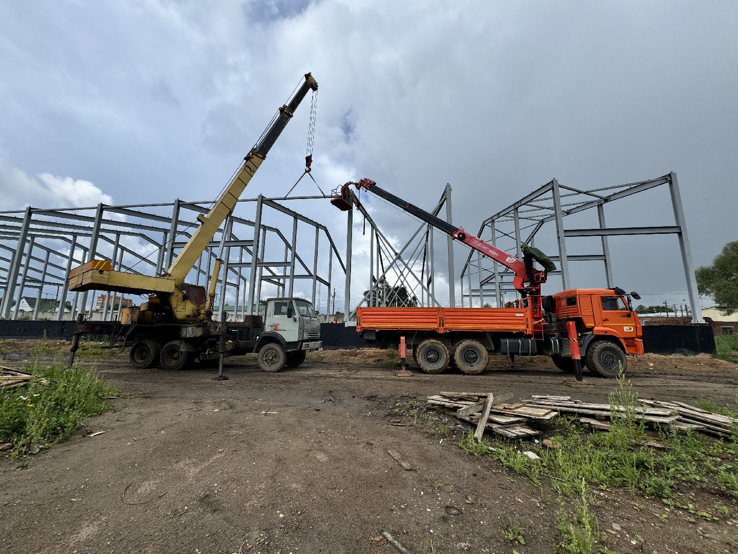 шаховская, завод, молоко, бизнес,