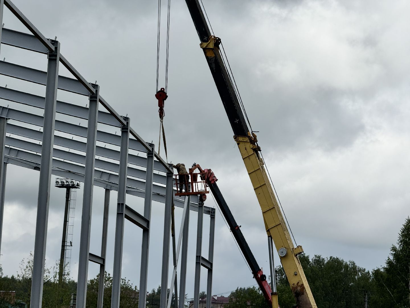 шаховская, завод, молоко, бизнес,