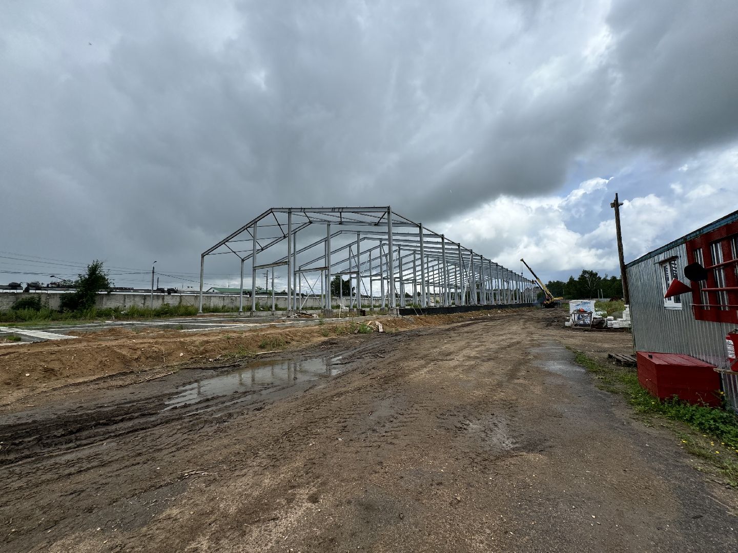 шаховская, завод, молоко, бизнес,