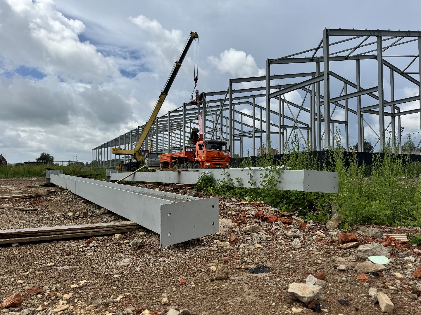 шаховская, завод, молоко, бизнес,