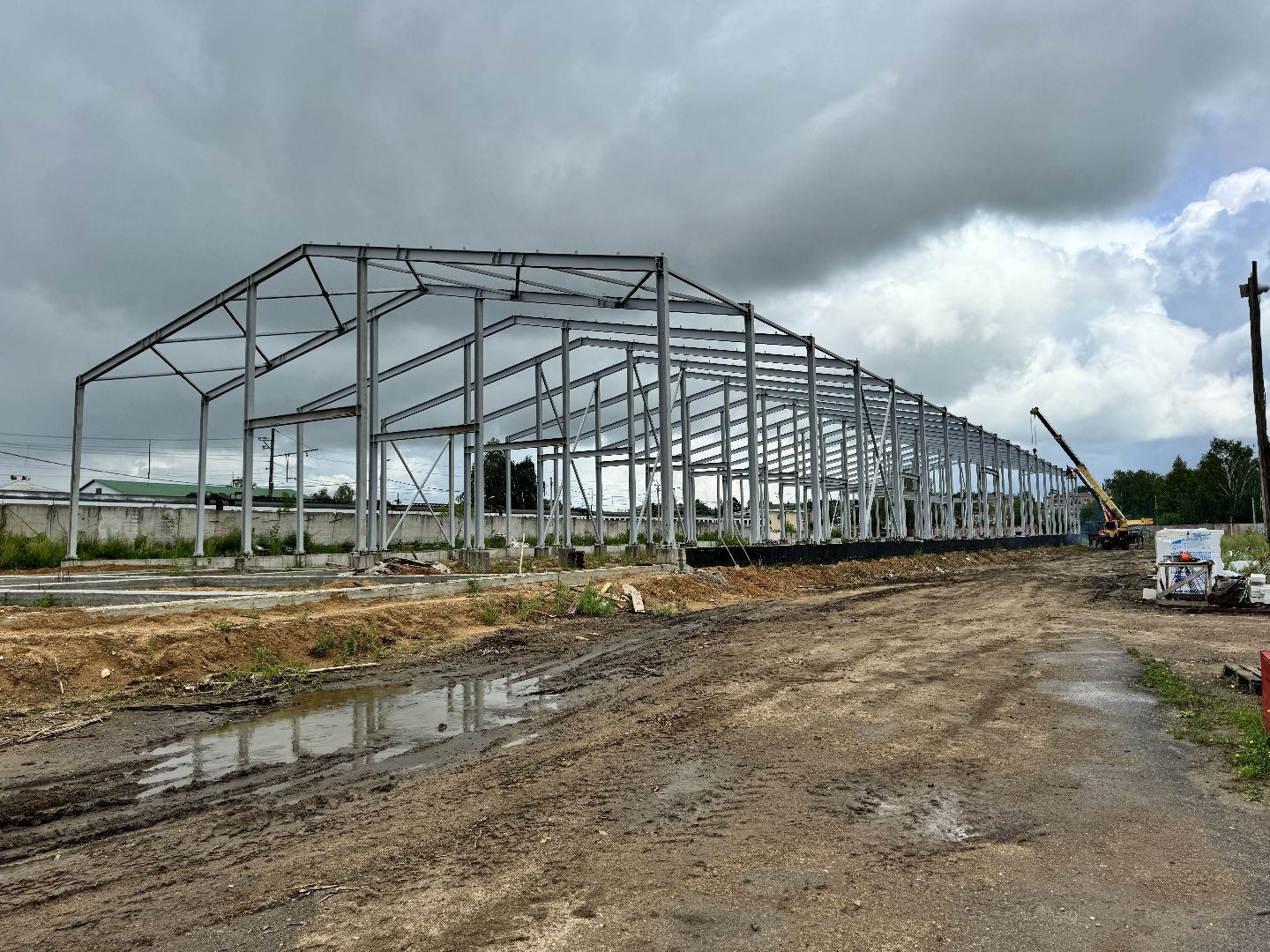 шаховская, завод, молоко, бизнес,