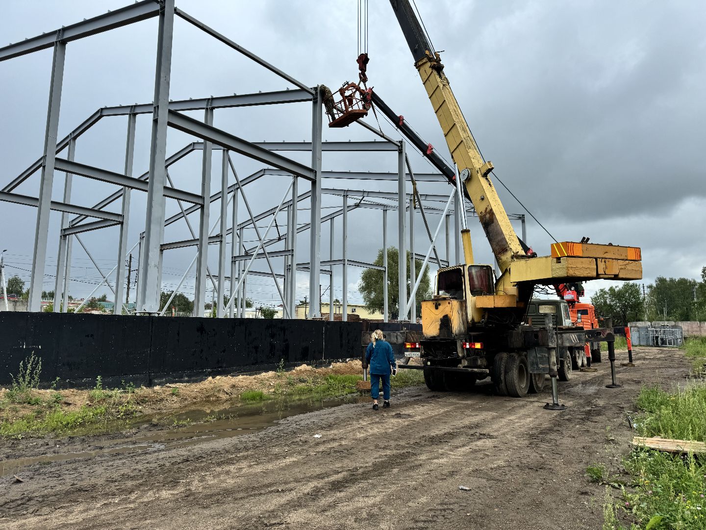 шаховская, завод, молоко, бизнес,