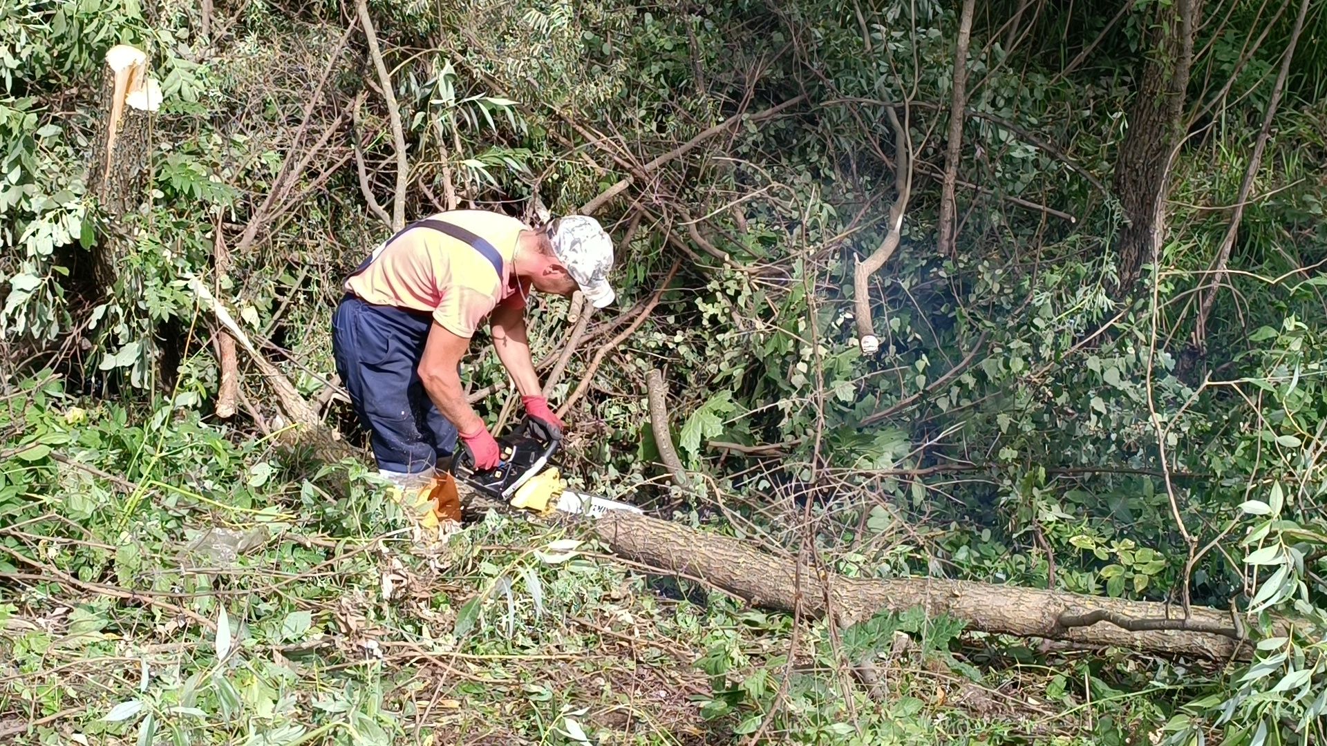 ремонт дорог, лобня, асфальт,