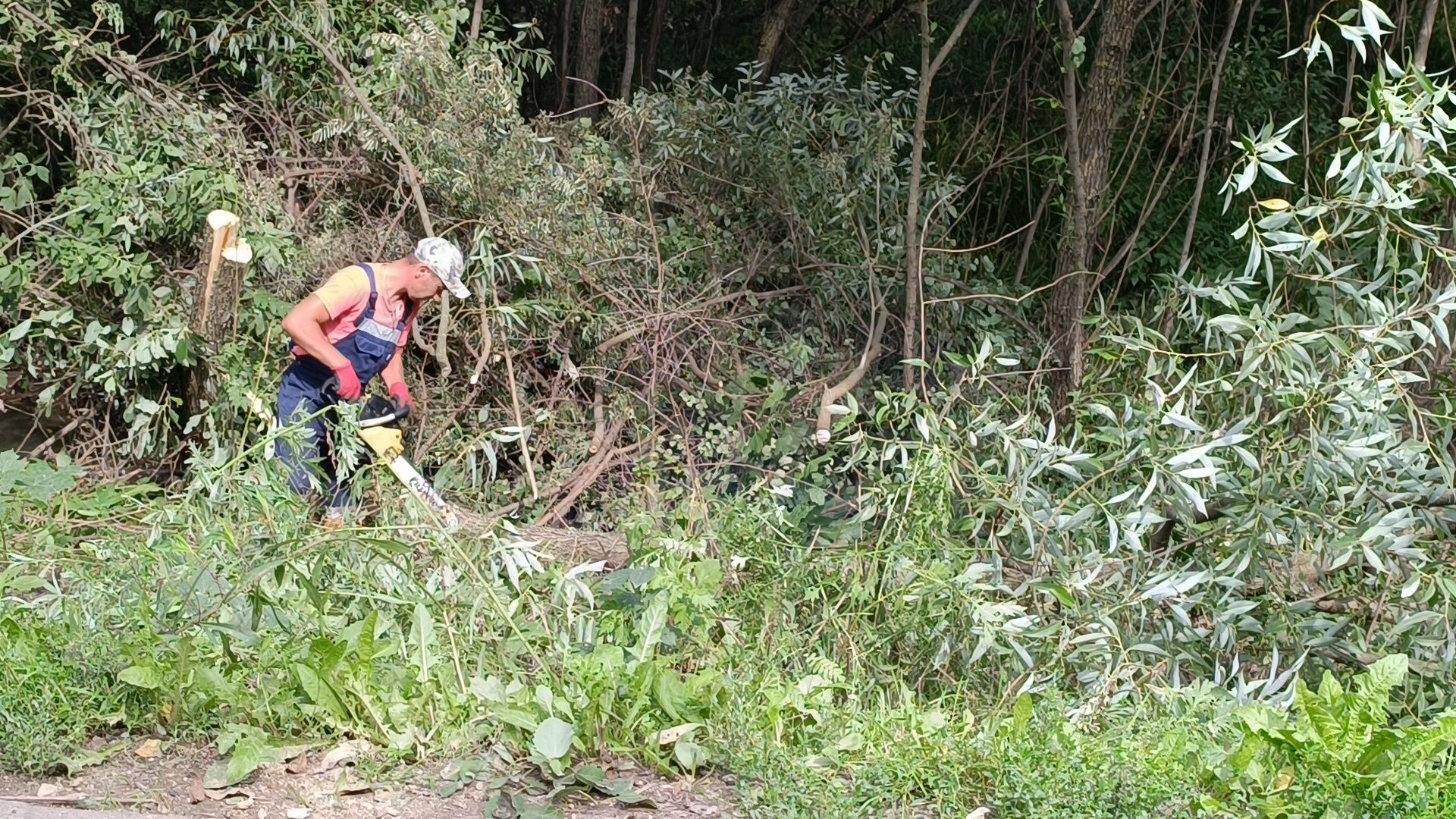 ремонт дорог, лобня, асфальт,