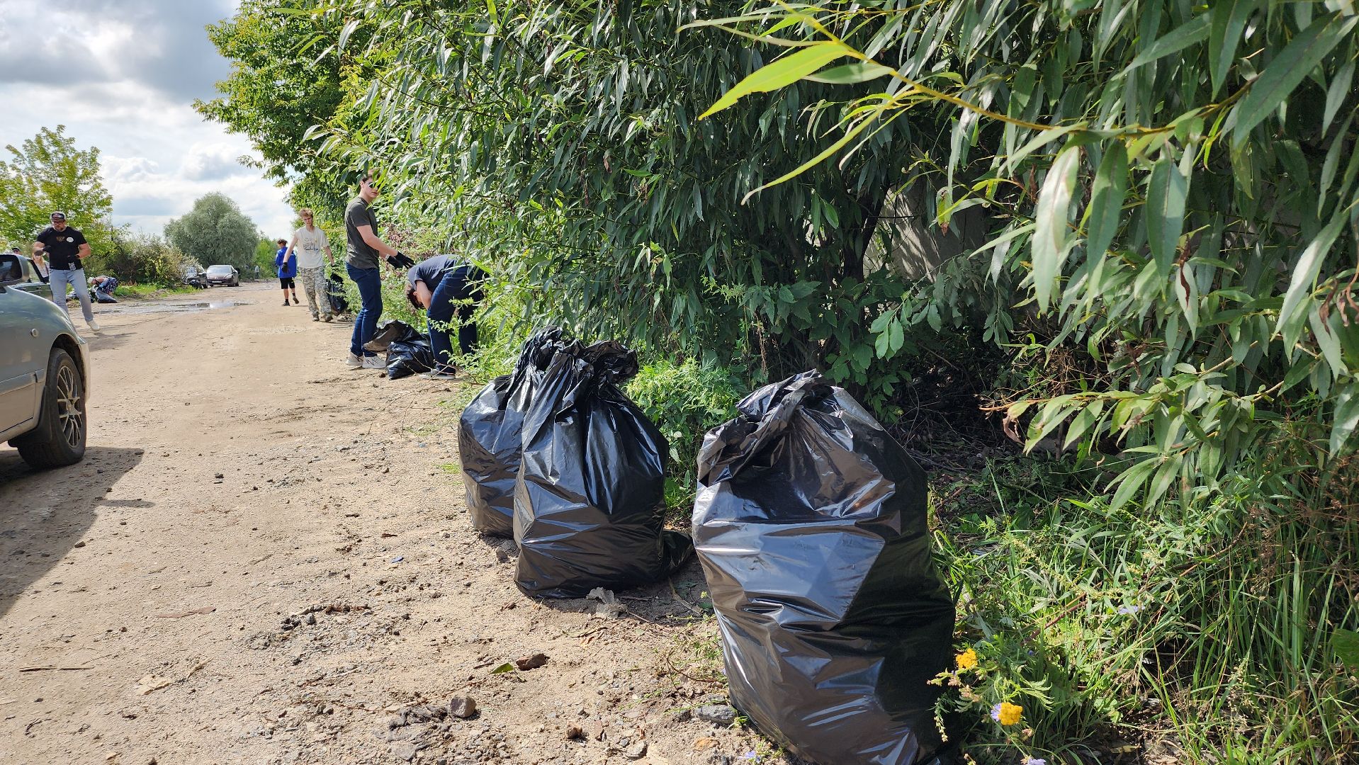 экоакция, уборка озера, всероссийская акция, село Кудиново, Богородский городской округ,