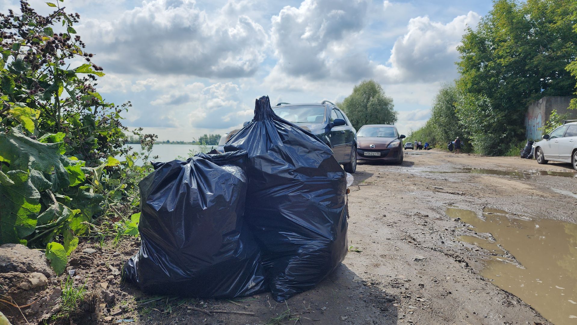 экоакция, уборка озера, всероссийская акция, село Кудиново, Богородский городской округ,