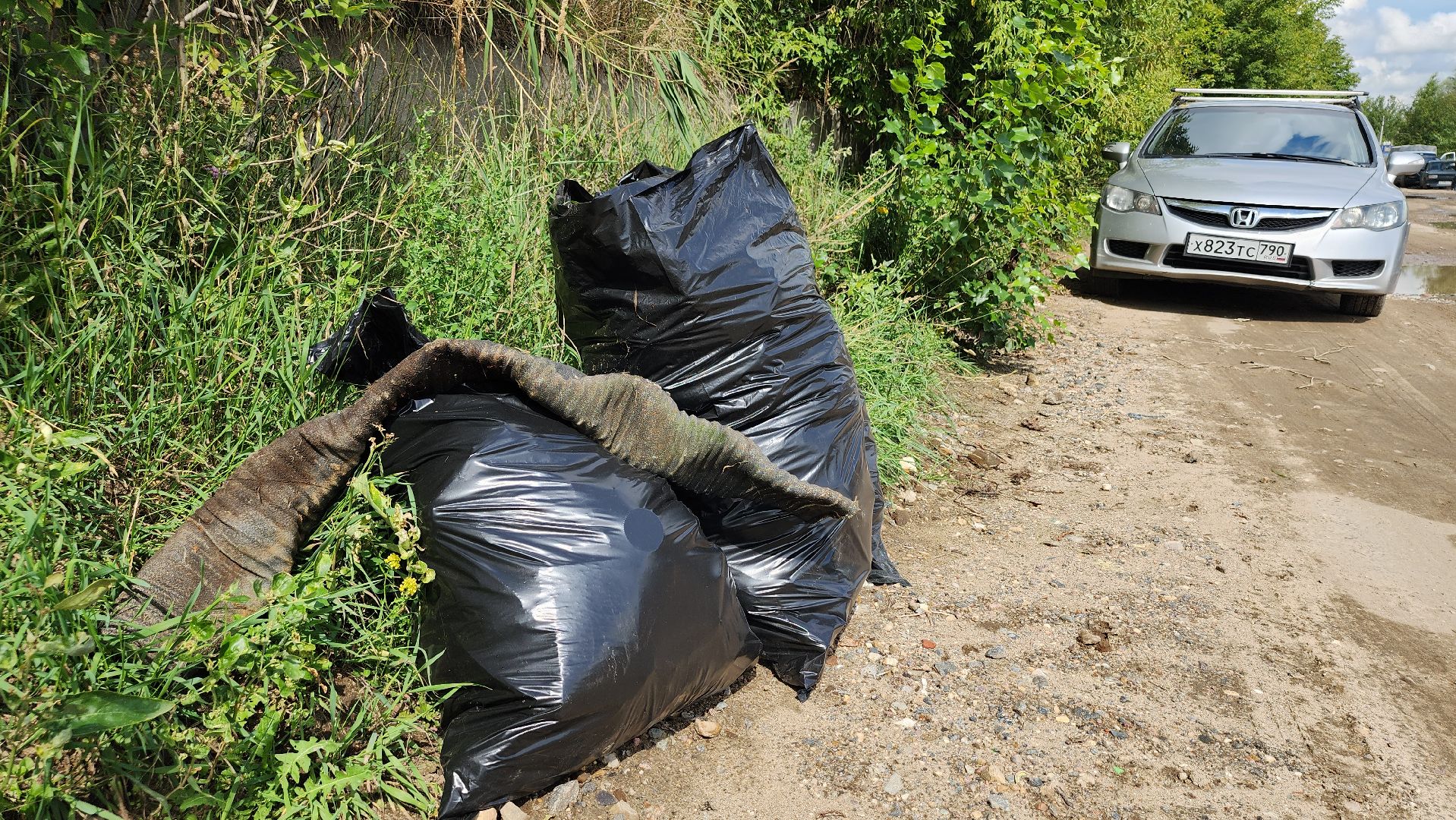 экоакция, уборка озера, всероссийская акция, село Кудиново, Богородский городской округ,