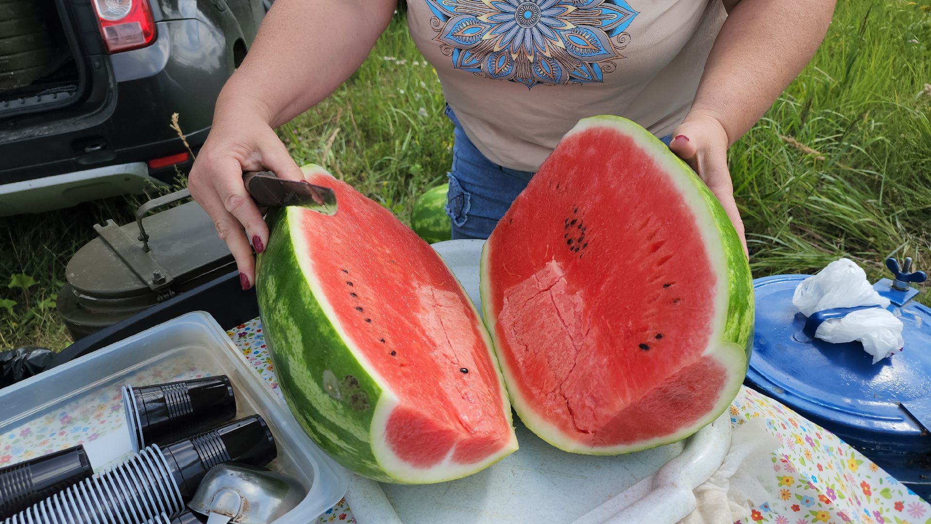 экоакция, уборка озера, всероссийская акция, село Кудиново, Богородский городской округ,
