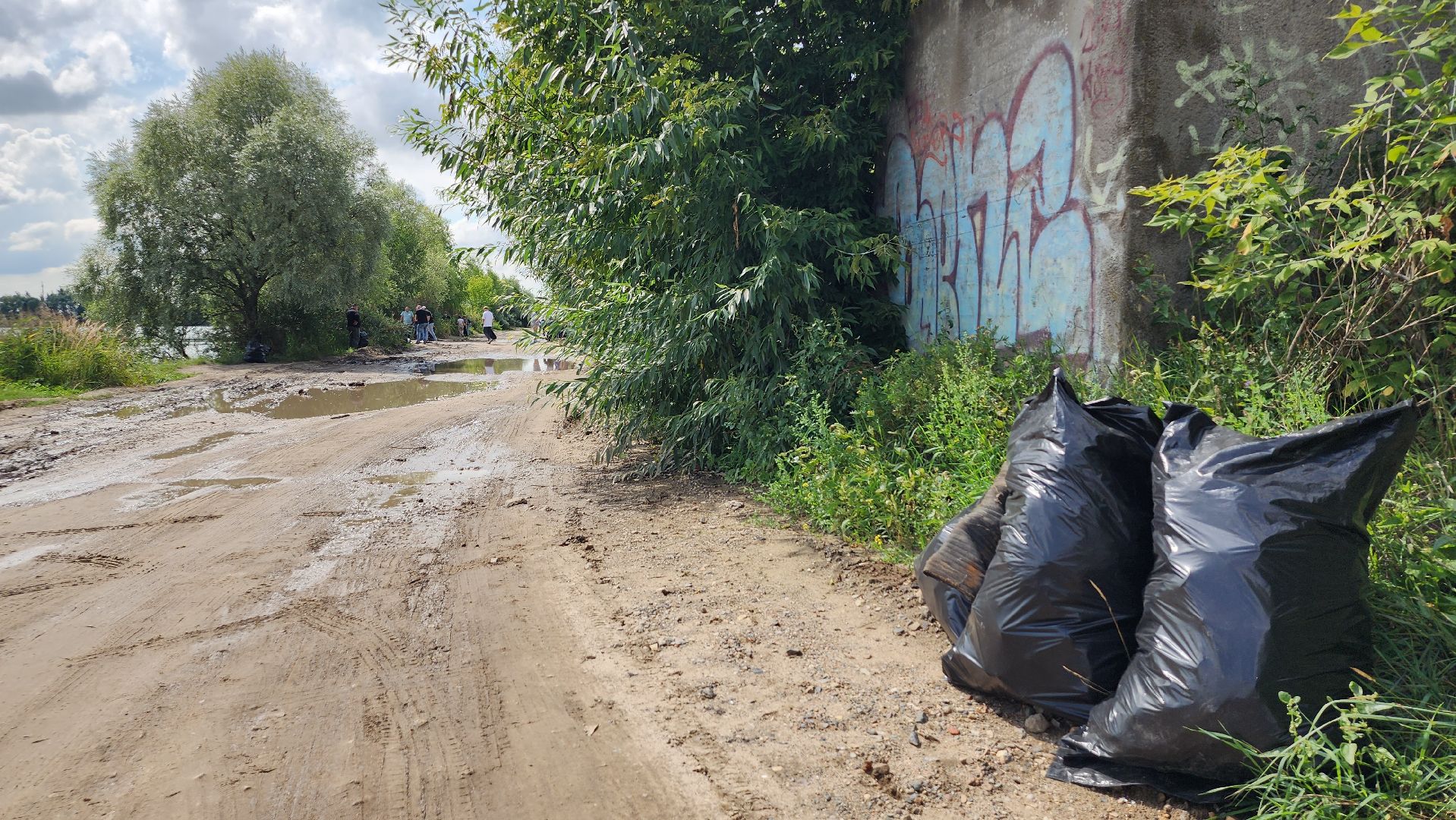 экоакция, уборка озера, всероссийская акция, село Кудиново, Богородский городской округ,