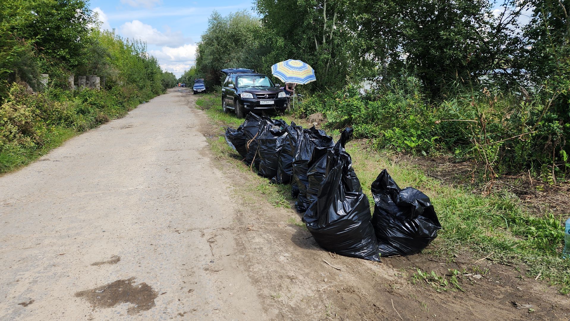 экоакция, уборка озера, всероссийская акция, село Кудиново, Богородский городской округ,