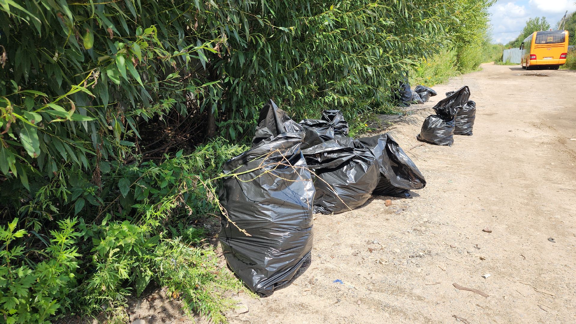 экоакция, уборка озера, всероссийская акция, село Кудиново, Богородский городской округ,