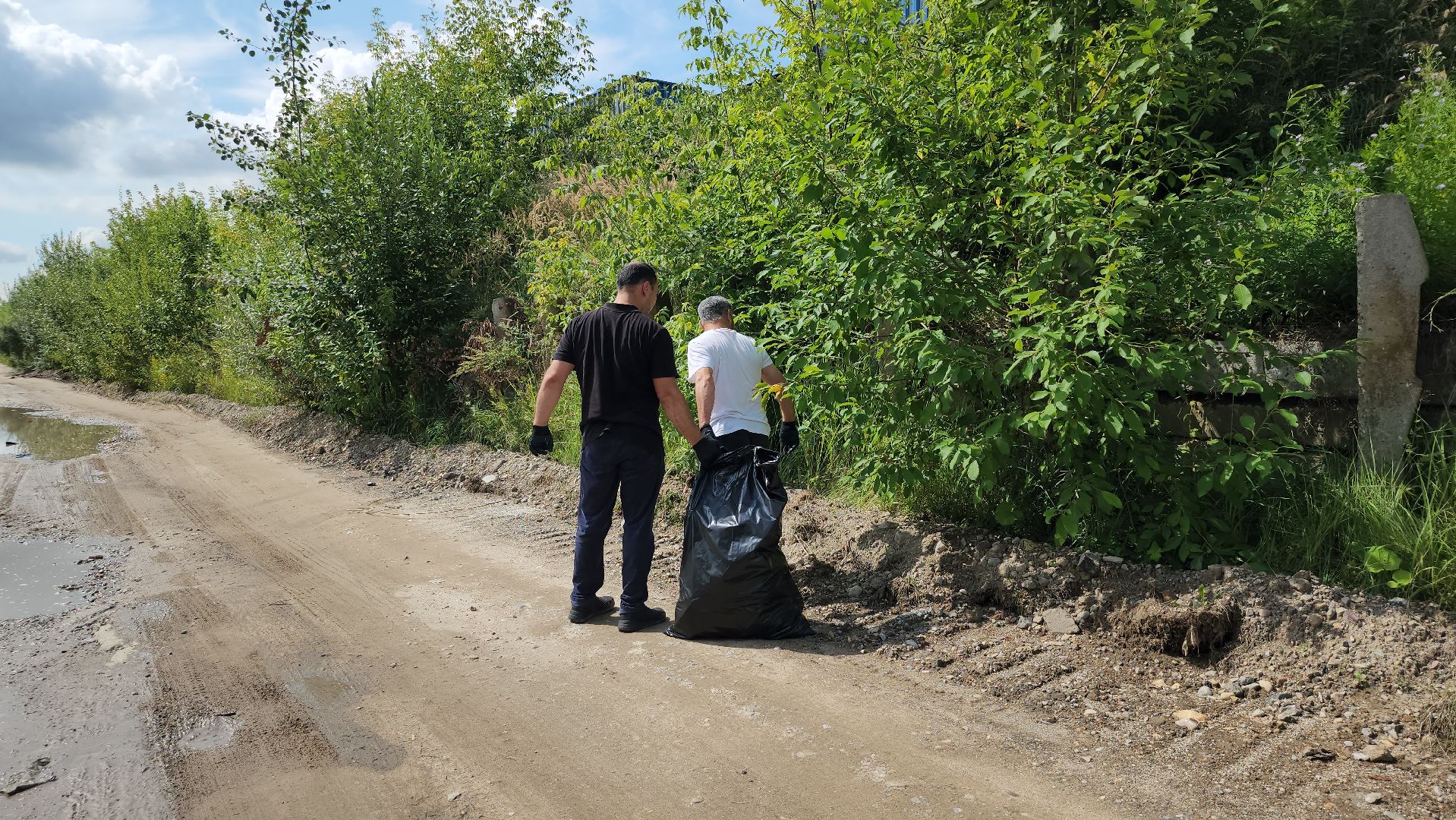 экоакция, уборка озера, всероссийская акция, село Кудиново, Богородский городской округ,