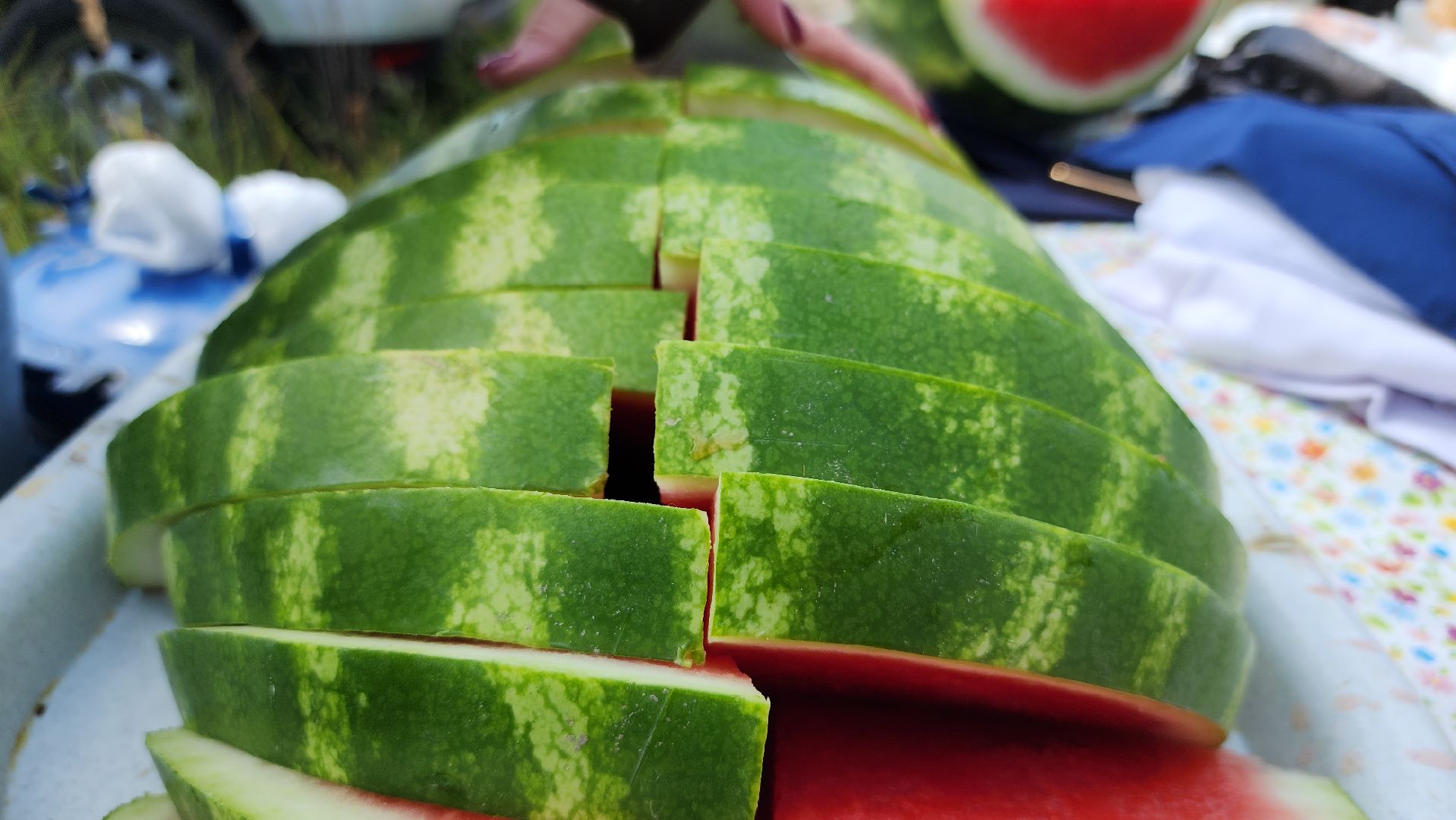 экоакция, уборка озера, всероссийская акция, село Кудиново, Богородский городской округ,