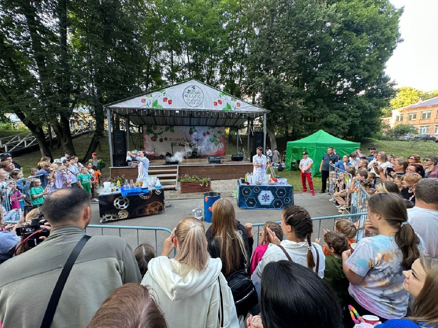 фестиваль, ягода, конкурсы, мастер-класс для детей, праздник парк, щёлково,