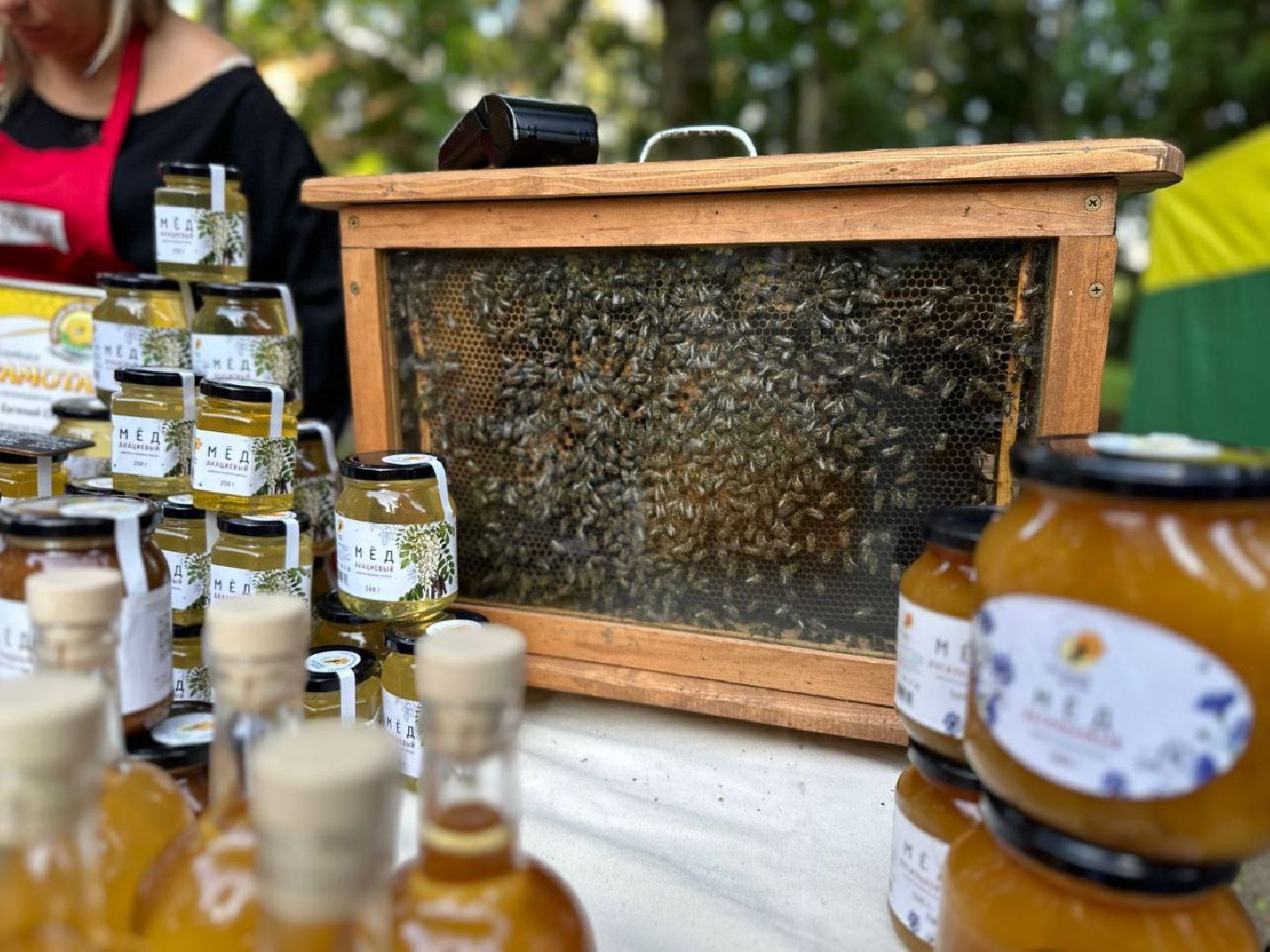 фестиваль, ягода, конкурсы, мастер-класс для детей, праздник парк, щёлково,