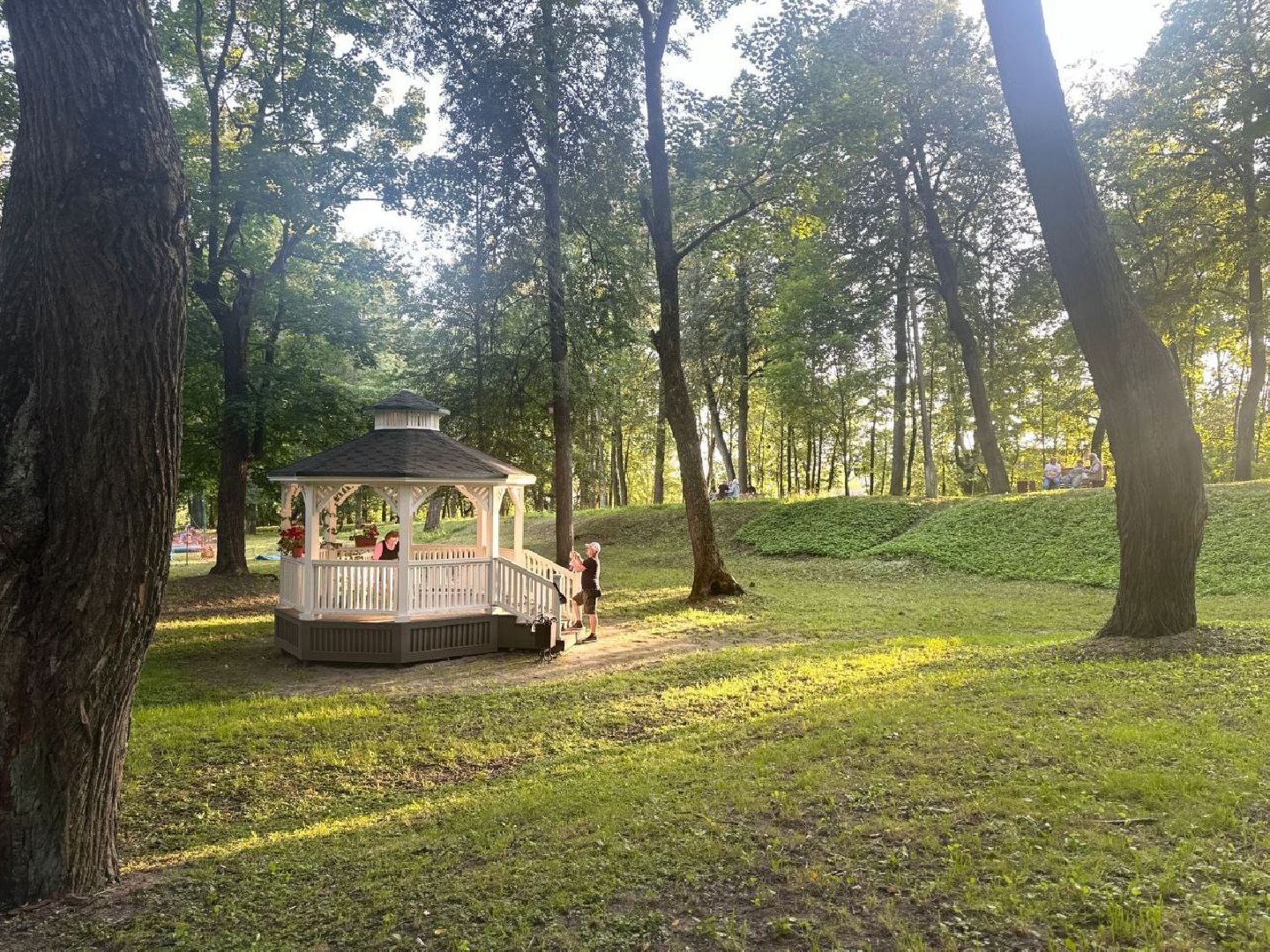 фестиваль, ягода, конкурсы, мастер-класс для детей, праздник парк, щёлково,