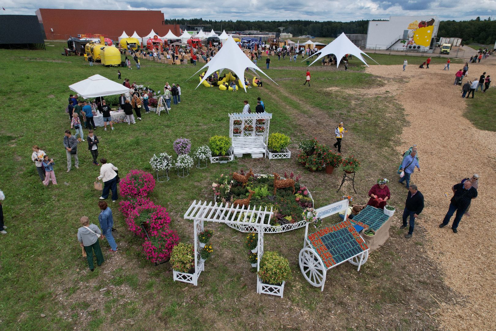 истра, видео с коптера, фестиваль, импортозамещение,