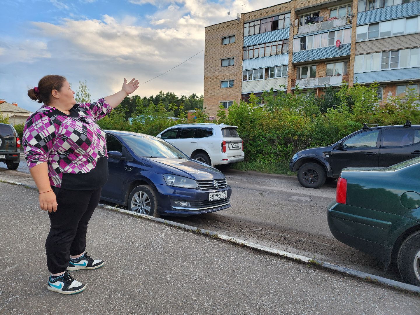 Чехов, село новый быт, выездная администрация, встреча с жителями, многодетная мать, медицинские услуги, прописка, земельный участок, минздрав мо,
