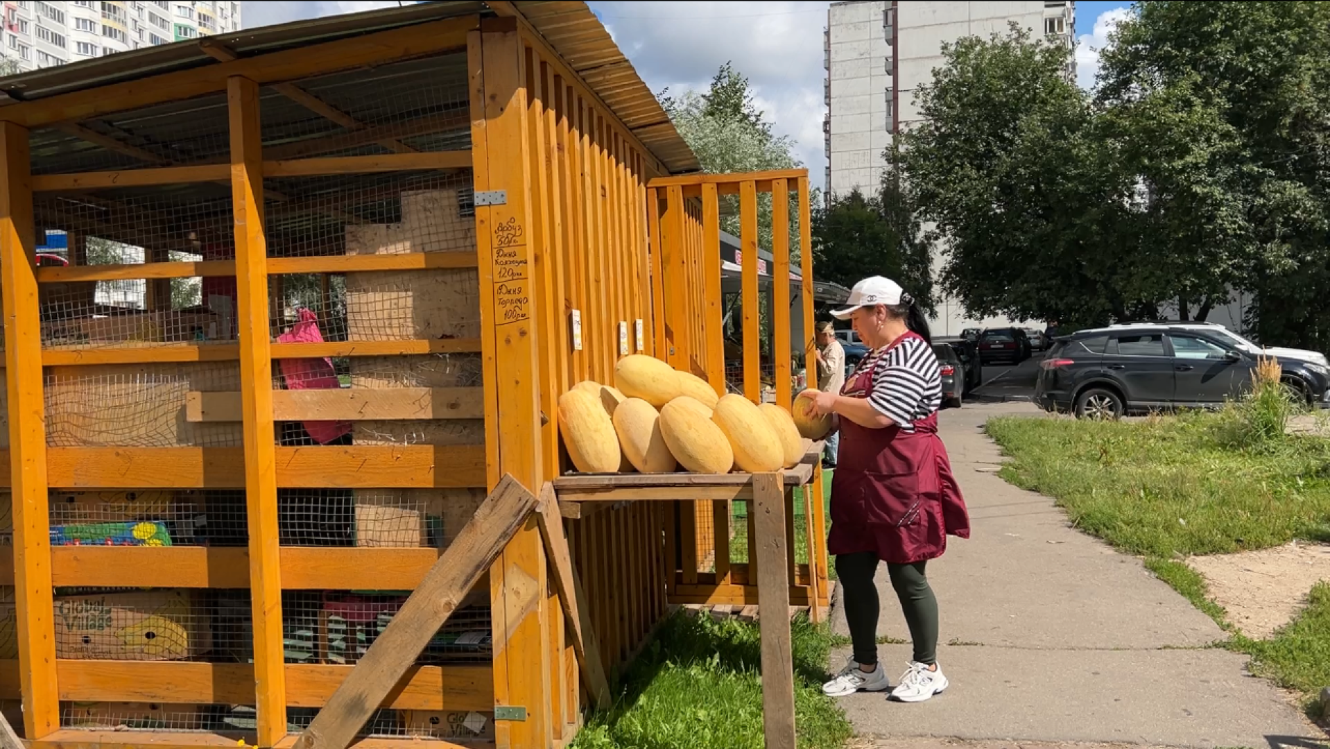 химки, общество, бахчевые развалы, арбуз,